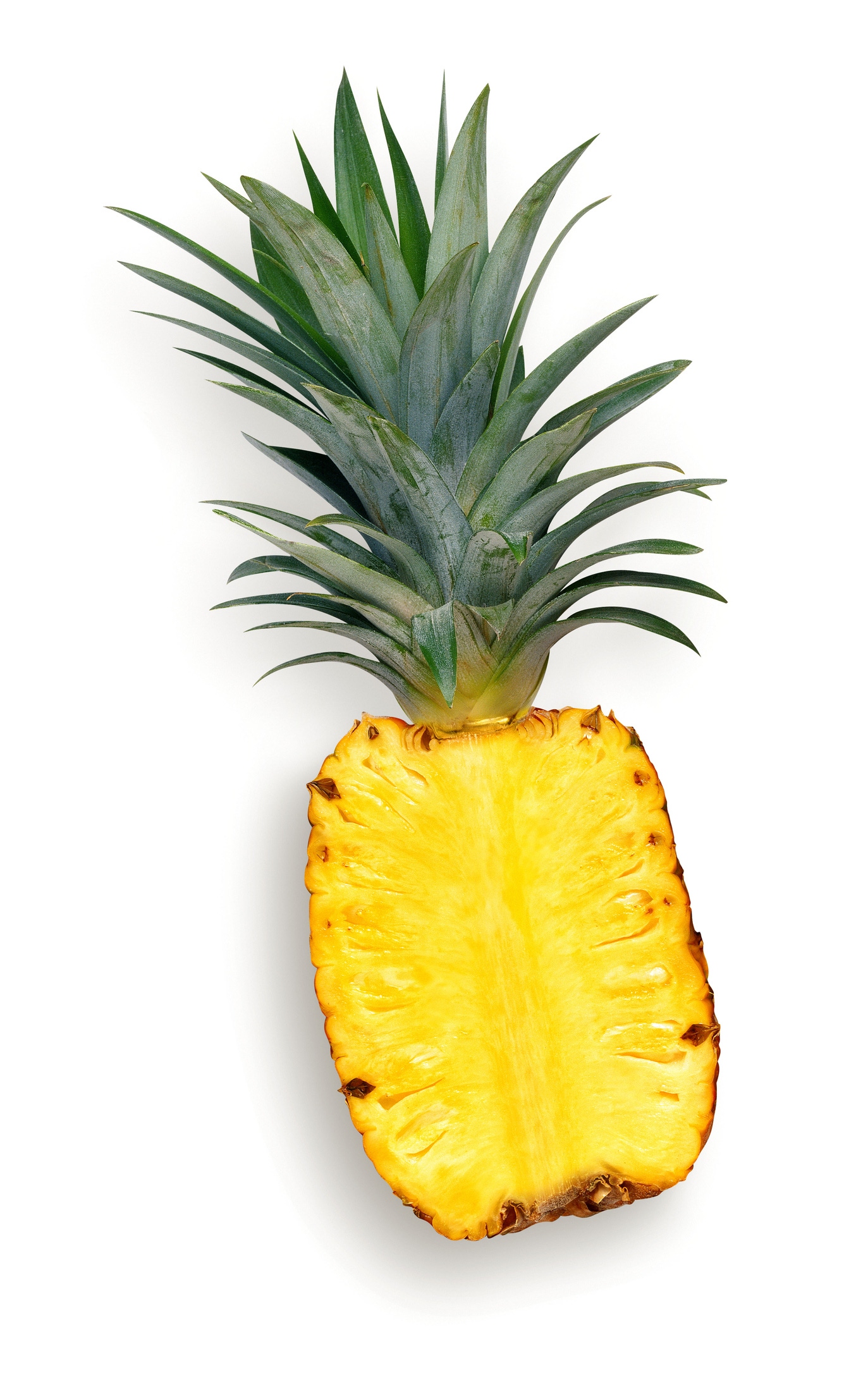1 tranche d'ananas 1 tranche d'ananas